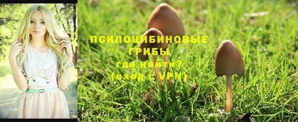 марки nbome Абинск