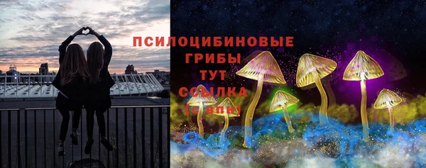 мет Абаза
