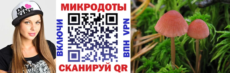 Псилоцибиновые грибы Psilocybine cubensis наркотики Кирс